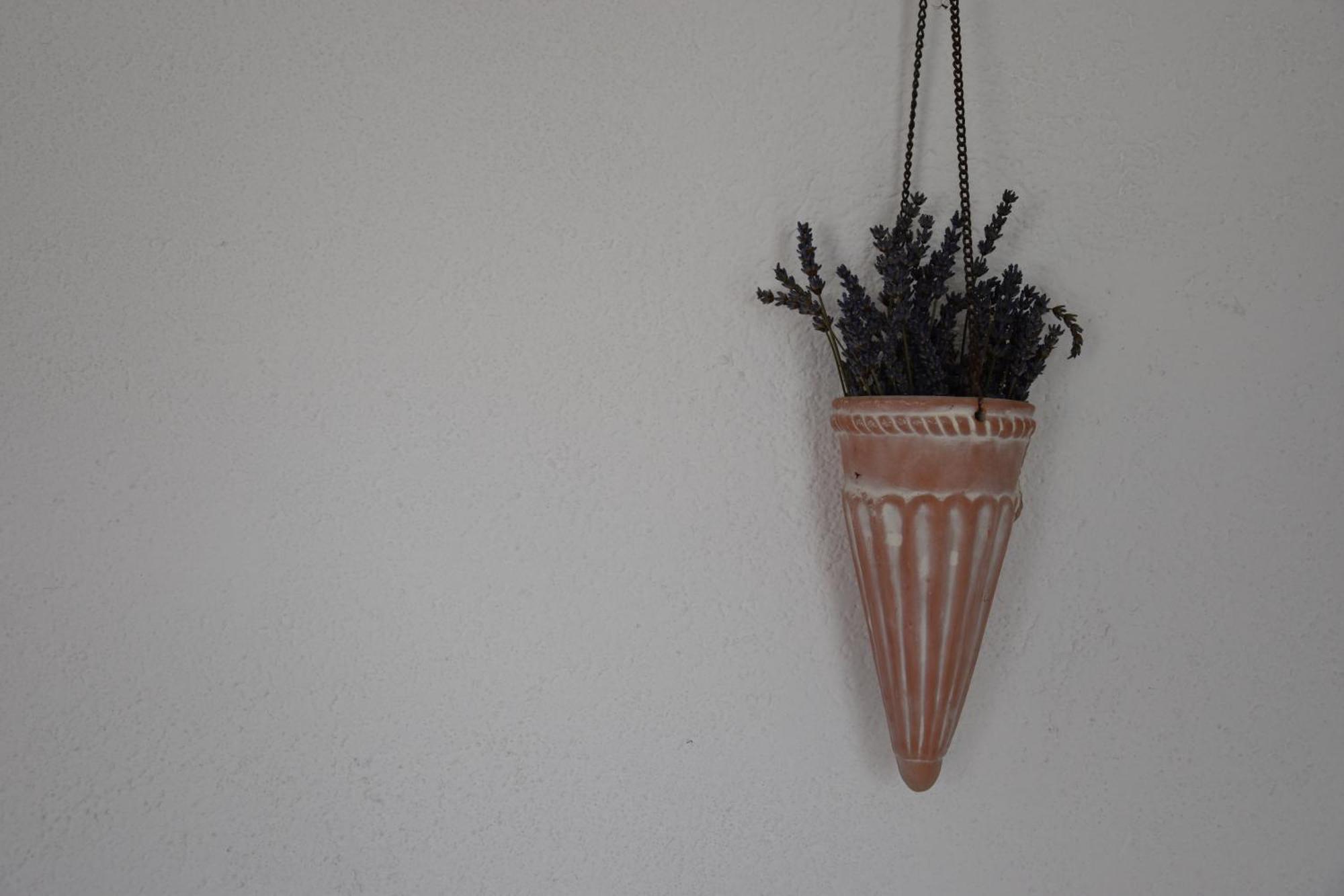 Apartament Mono Kai Triangle Trogir Zewnętrze zdjęcie